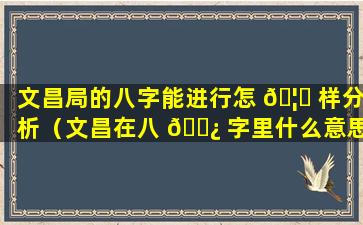 文昌局的八字能进行怎 🦈 样分析（文昌在八 🌿 字里什么意思）